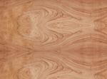 chestnut