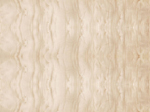 sycamore figured